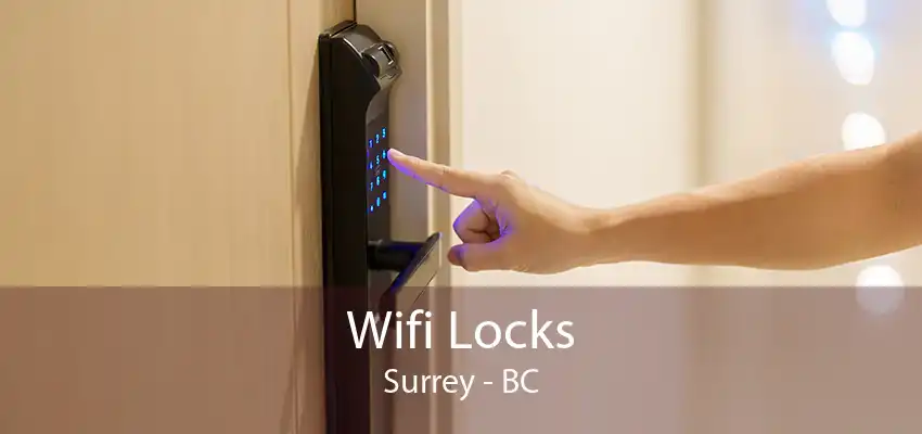 Wifi Locks Surrey - BC